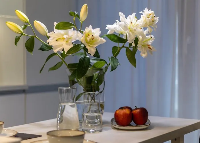 24 Premium Old Town Appartement Wrocław